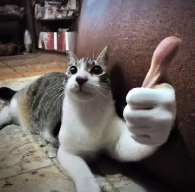 A cat photoshopped to have a human hand that is giving a thumbs up.